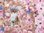 Jersey Öko Tex Panel Katze Blumen rosa
