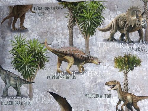 Canvas BW Dinosaurier grau