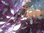 Jersey Öko Tex Federn batik lila silber