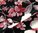 Viskose Jersey Blüten Frühling schwarz rosa