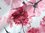 Viskose elastisch Blumen ecru rosa